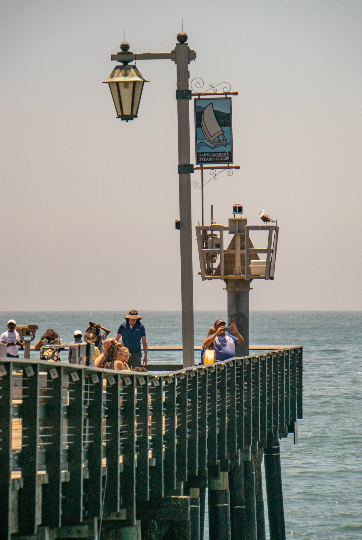 Where's Sparkie? Visiting Stearns Wharf in Santa Barbara